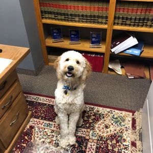 Meet your Posher, Brian